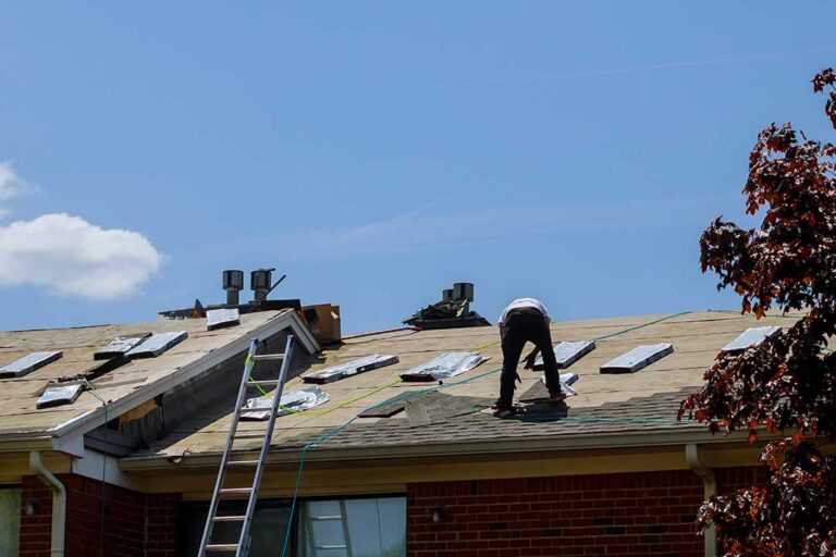 Roof edge with a damaged soffit, vent opening, and visible signs of animal entry near an attic.