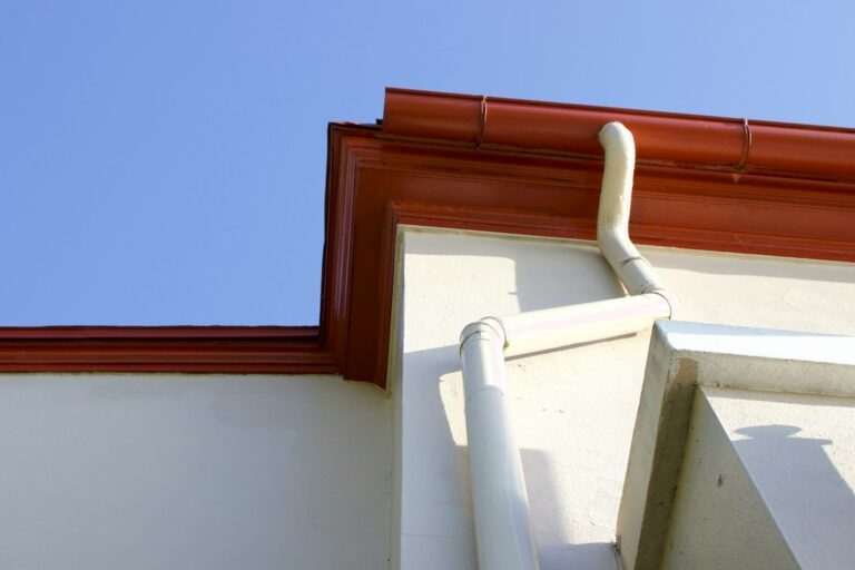 Roof eave with vented soffit, painted fascia, and gutter attached beneath the shingles.